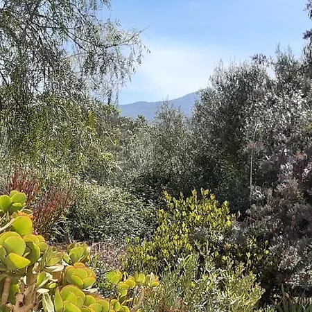 5min Agosta Appartement